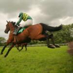 How to bet on the Grand National online