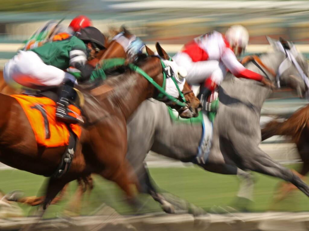 How to research horse racing and pick a winning horse