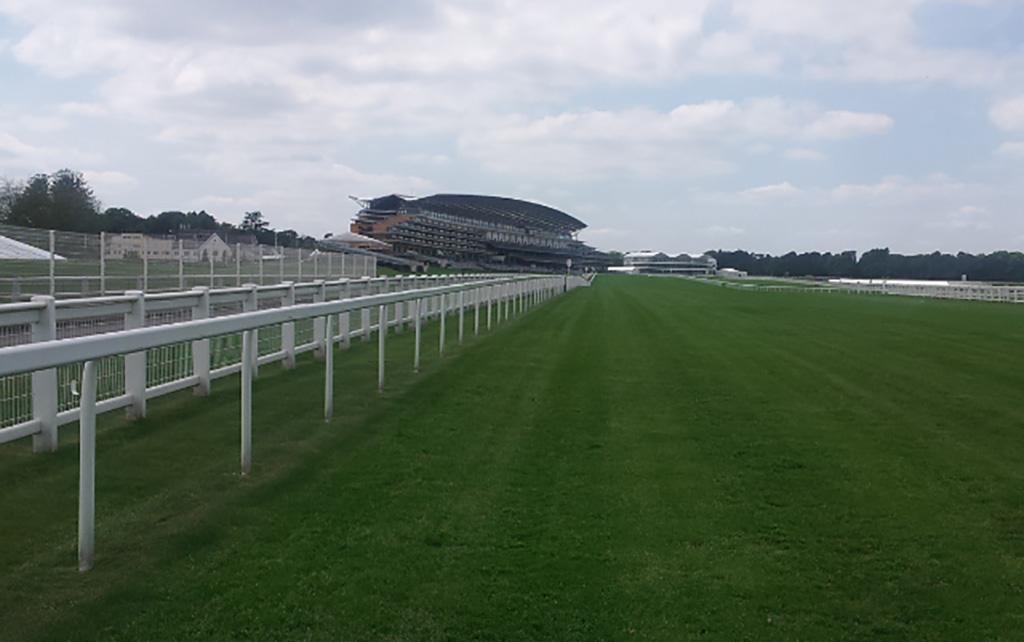 the ascot gold cup