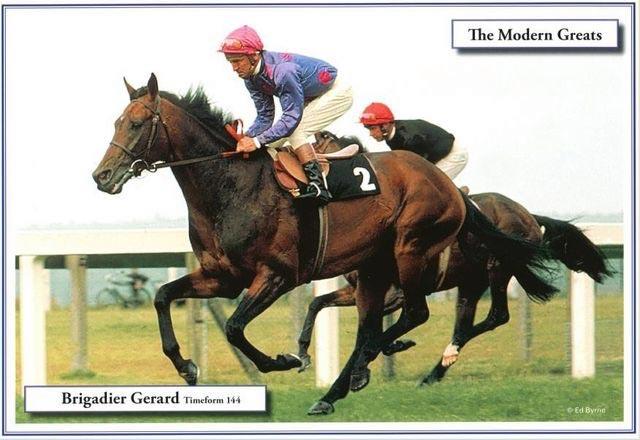 Brigadier Gerard racehorse