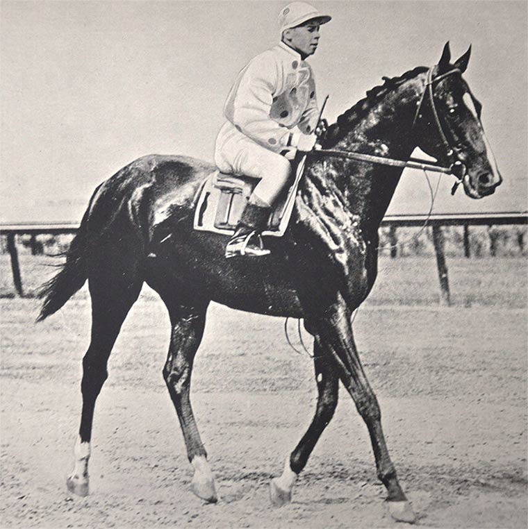 Colin racehorse