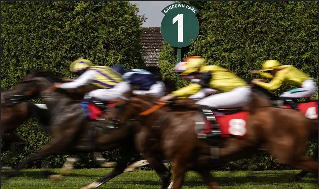 Jockeys racing horses past the one furlong marker at Sandown Park racecourse.