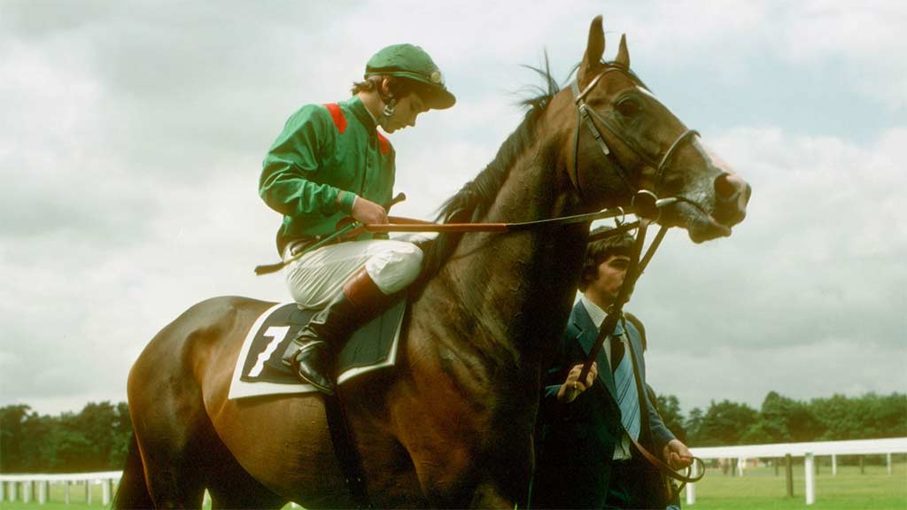 Shergar racehorse