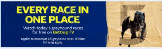 Mobile banner for watching greyhound racing on william hill tv