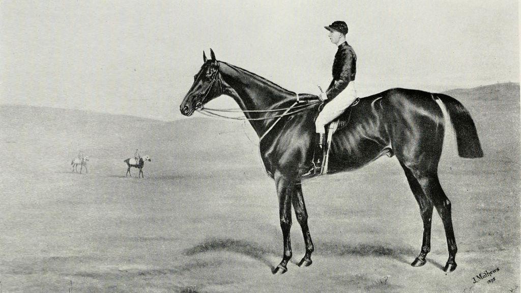 Racehorse Cloister