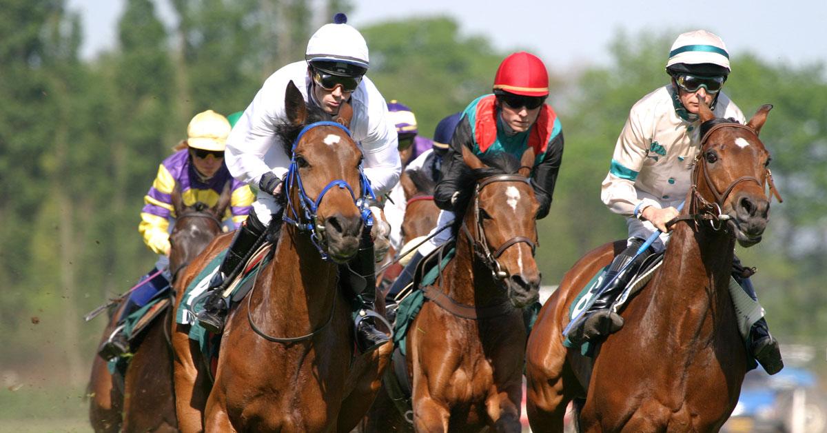 horse race