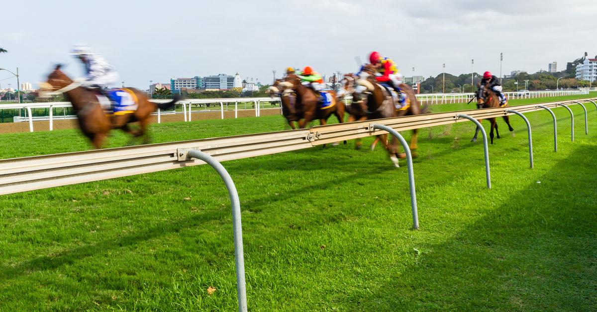 horse race