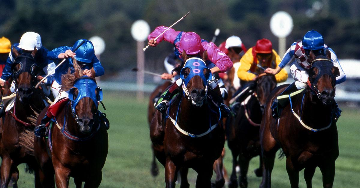 horse race