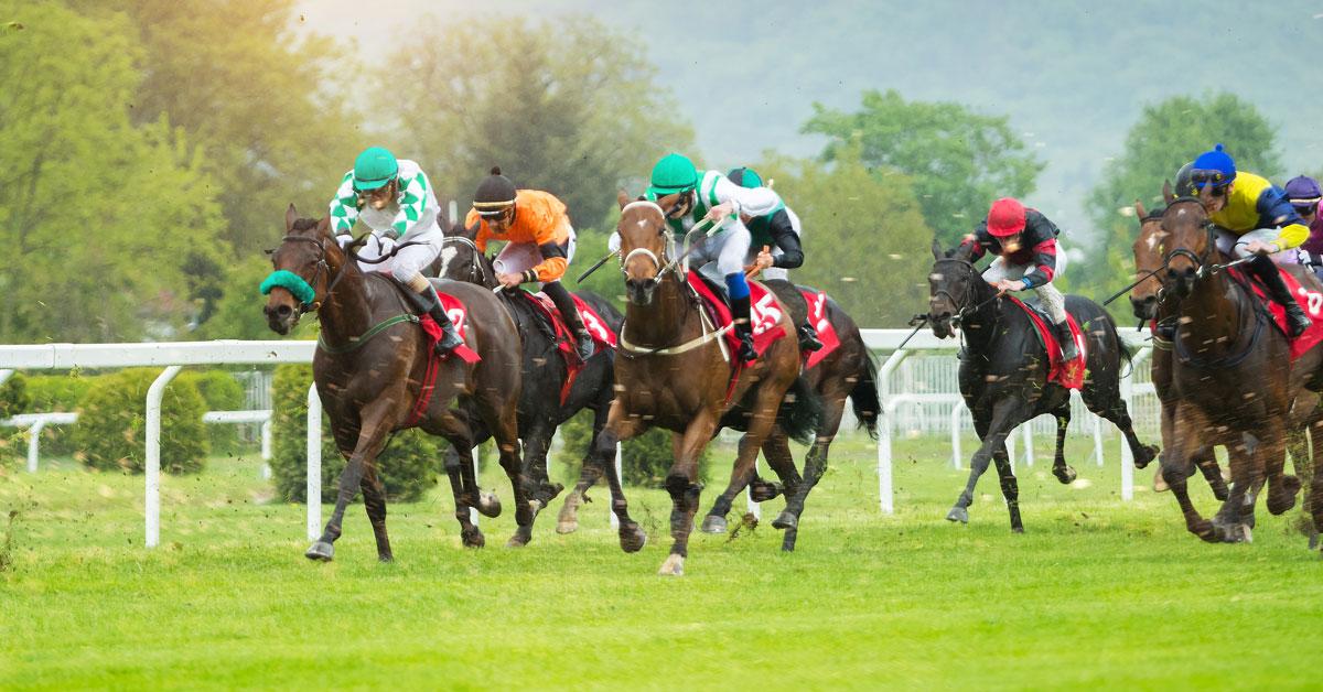 horse race