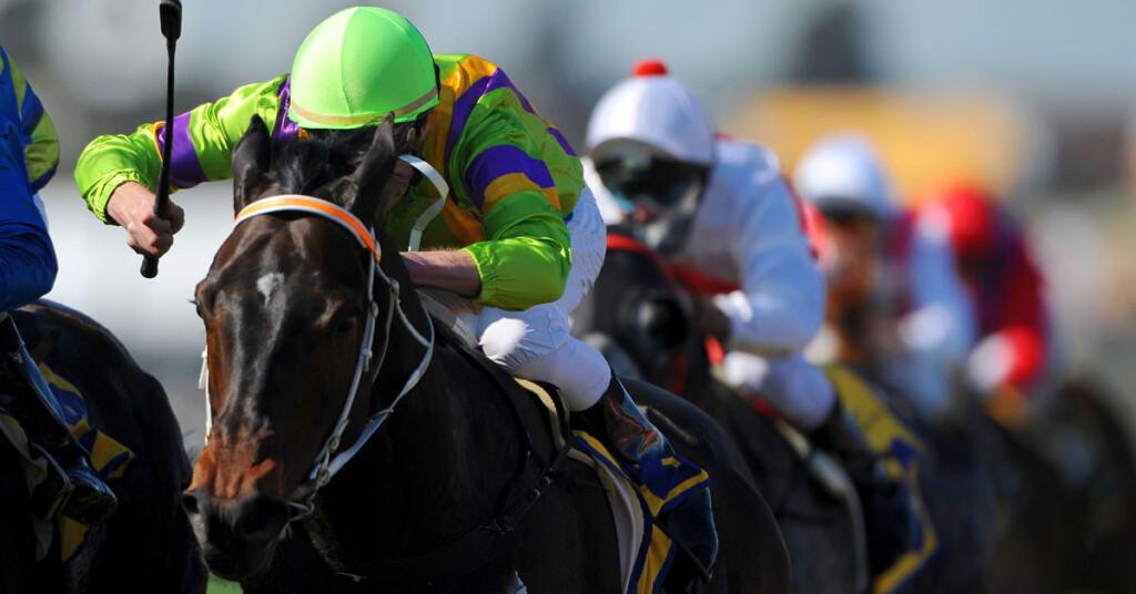 horse race