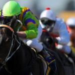 horse race