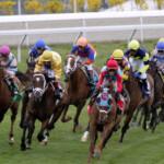 horse race