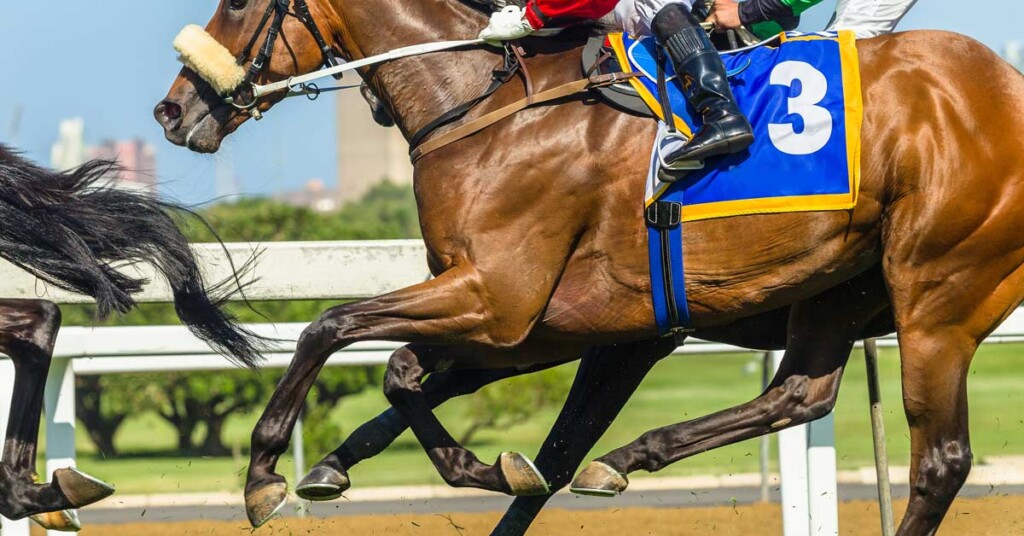 horse race blue number 3