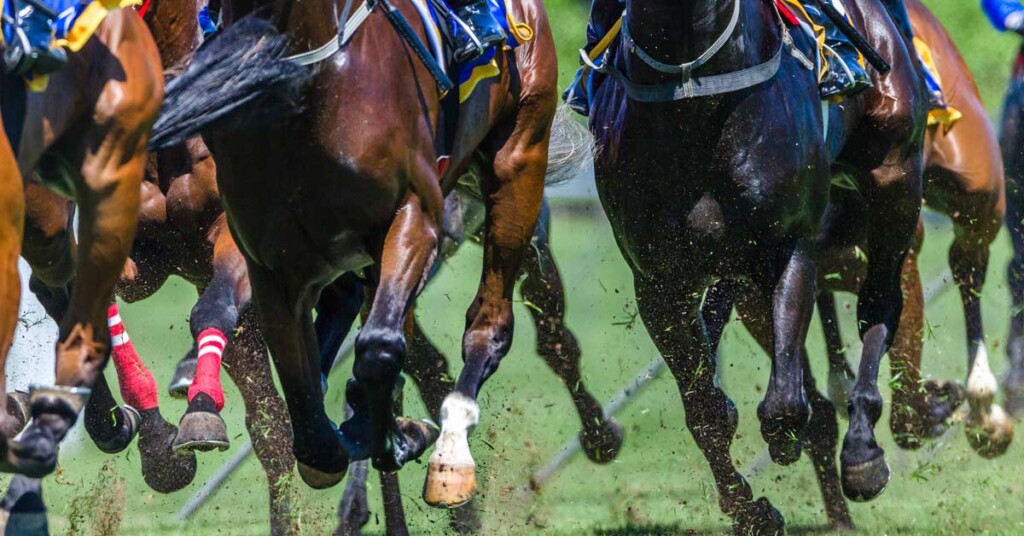 horse galloping down racecourse